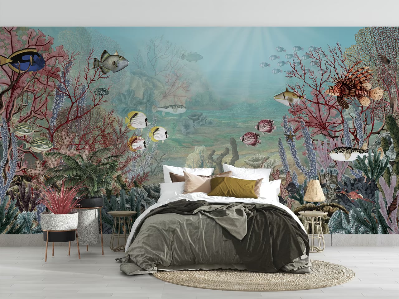 Coral Creatures styled in a room
